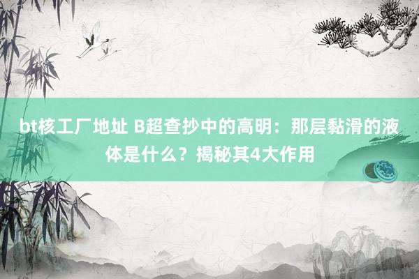 bt核工厂地址 B超查抄中的高明：那层黏滑的液体是什么？揭秘其4大作用