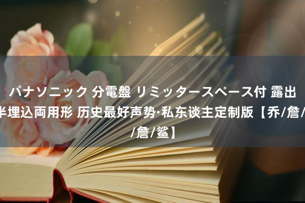 パナソニック 分電盤 リミッタースペース付 露出・半埋込両用形 历史最好声势·私东谈主定制版【乔/詹/鲨】