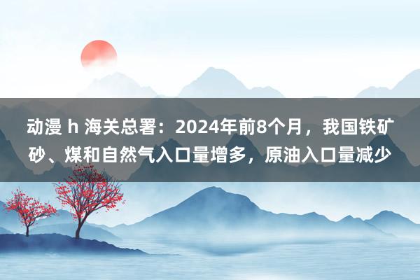 动漫 h 海关总署：2024年前8个月，我国铁矿砂、煤和自然气入口量增多，原油入口量减少