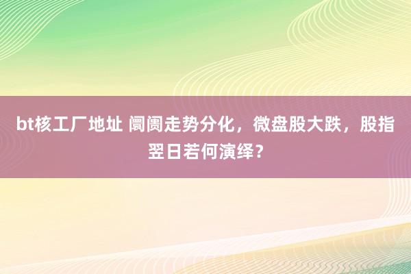 bt核工厂地址 阛阓走势分化，微盘股大跌，股指翌日若何演绎？