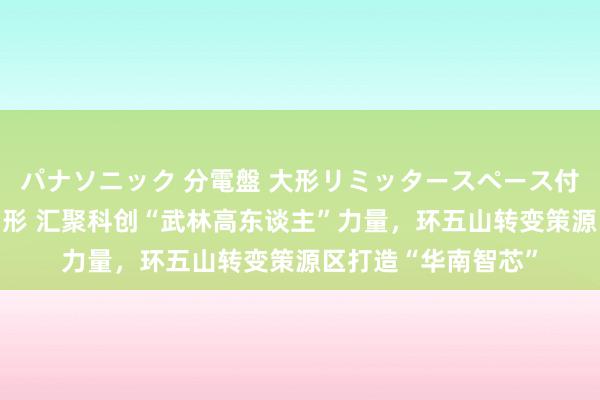 パナソニック 分電盤 大形リミッタースペース付 露出・半埋込両用形 汇聚科创“武林高东谈主”力量，环五山转变策源区打造“华南智芯”