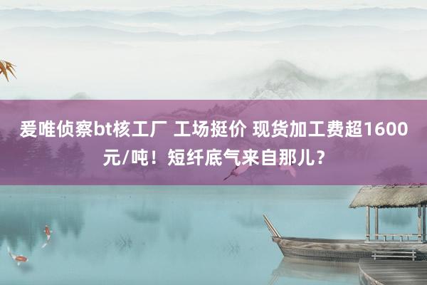 爰唯侦察bt核工厂 工场挺价 现货加工费超1600元/吨！短纤底气来自那儿？