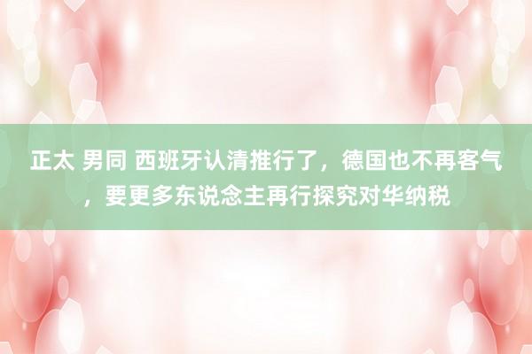 正太 男同 西班牙认清推行了，德国也不再客气，要更多东说念主再行探究对华纳税