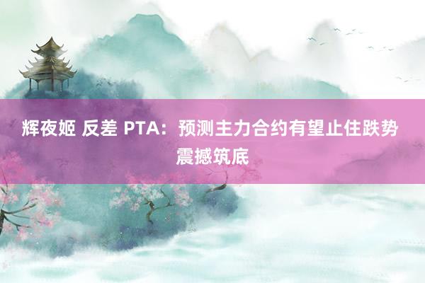 辉夜姬 反差 PTA：预测主力合约有望止住跌势 震撼筑底