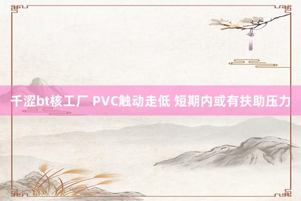 千涩bt核工厂 PVC触动走低 短期内或有扶助压力