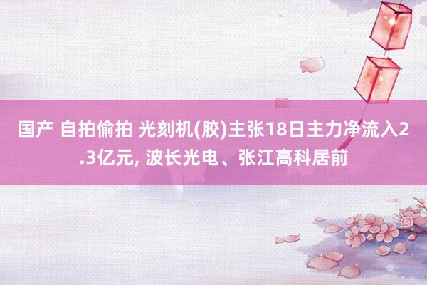 国产 自拍偷拍 光刻机(胶)主张18日主力净流入2.3亿元， 波长光电、张江高科居前