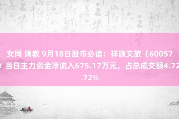 女同 调教 9月18日股市必读：祥源文旅（600576）当日主力资金净流入675.17万元，占总成交额4.72%