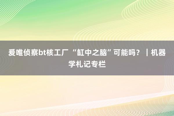 爰唯侦察bt核工厂 “缸中之脑”可能吗？｜机器学札记专栏