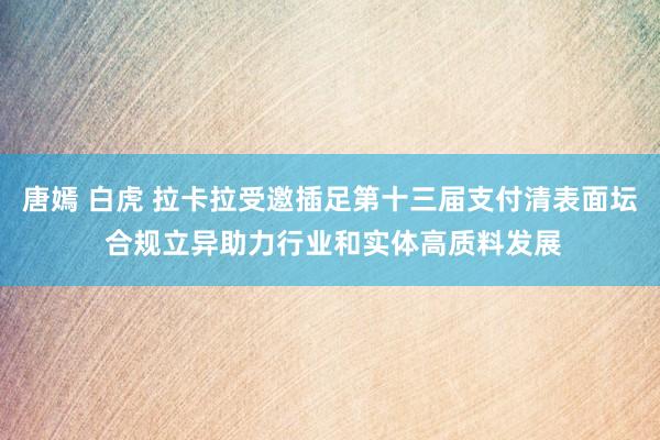 唐嫣 白虎 拉卡拉受邀插足第十三届支付清表面坛 合规立异助力行业和实体高质料发展