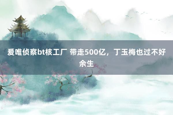 爰唯侦察bt核工厂 带走500亿，丁玉梅也过不好余生