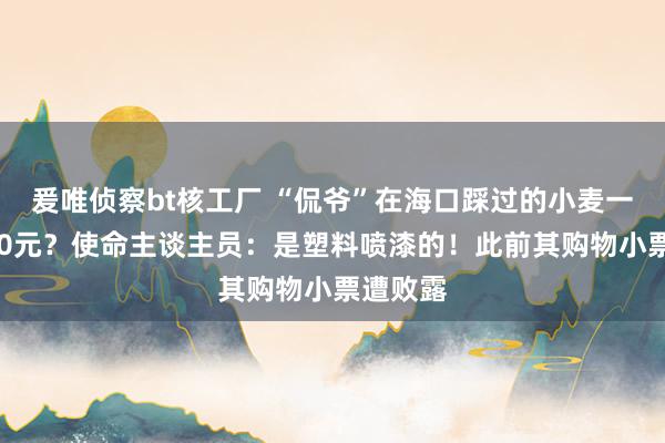 爰唯侦察bt核工厂 “侃爷”在海口踩过的小麦一株卖300元？使命主谈主员：是塑料喷漆的！此前其购物小票遭败露