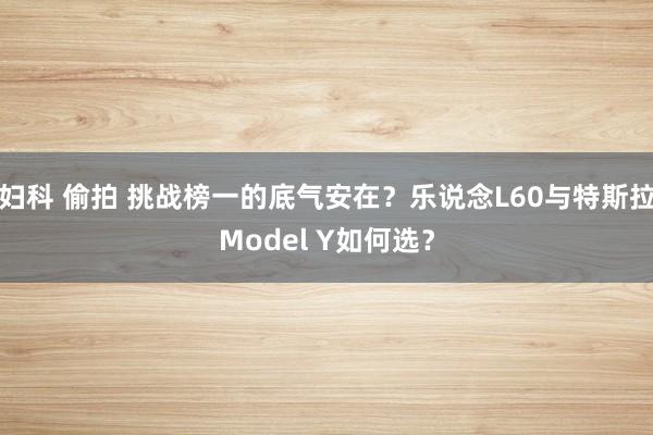 妇科 偷拍 挑战榜一的底气安在？乐说念L60与特斯拉Model Y如何选？