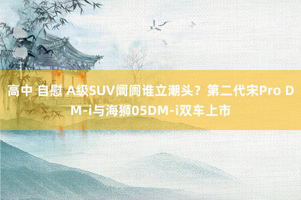 高中 自慰 A级SUV阛阓谁立潮头？第二代宋Pro DM-i与海狮05DM-i双车上市