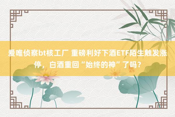 爰唯侦察bt核工厂 重磅利好下酒ETF陌生触发涨停，白酒重回“始终的神”了吗？