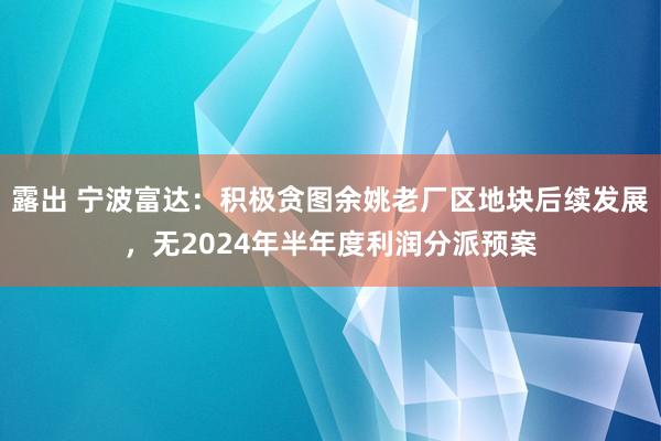 露出 宁波富达：积极贪图余姚老厂区地块后续发展，无2024年半年度利润分派预案