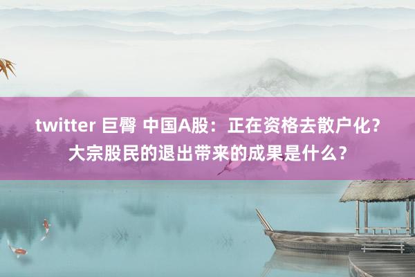 twitter 巨臀 中国A股：正在资格去散户化？大宗股民的退出带来的成果是什么？