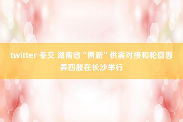 twitter 拳交 湖南省“两新”供需对接和轮回愚弄四肢在长沙举行