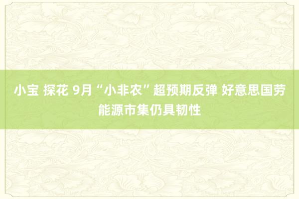 小宝 探花 9月“小非农”超预期反弹 好意思国劳能源市集仍具韧性