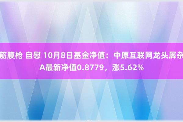 筋膜枪 自慰 10月8日基金净值：中原互联网龙头羼杂A最新净值0.8779，涨5.62%