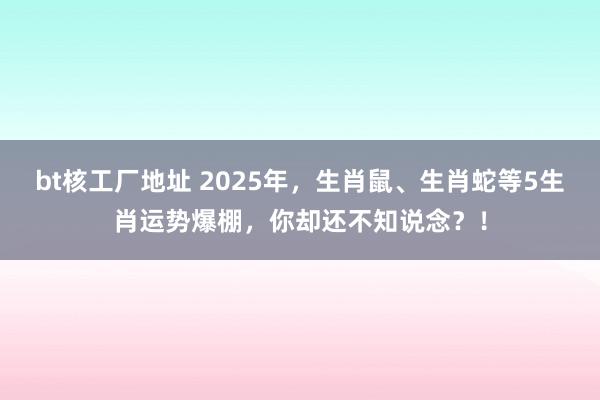 bt核工厂地址 2025年，生肖鼠、生肖蛇等5生肖运势爆棚，你却还不知说念？！