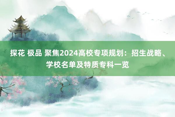 探花 极品 聚焦2024高校专项规划：招生战略、学校名单及特质专科一览