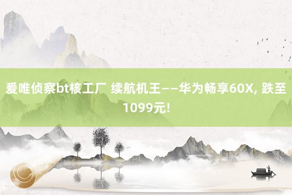 爰唯侦察bt核工厂 续航机王——华为畅享60X， 跌至1099元!