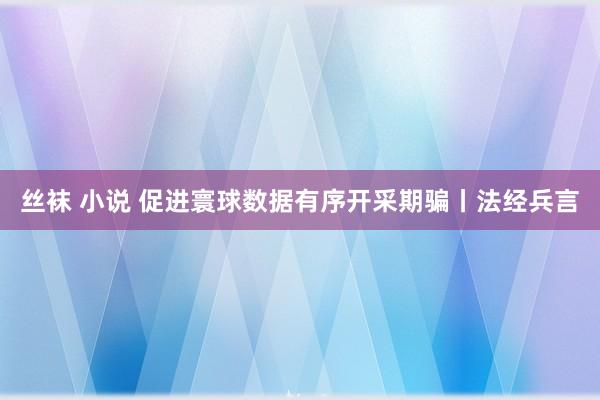 丝袜 小说 促进寰球数据有序开采期骗丨法经兵言