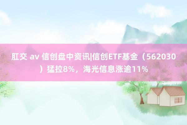 肛交 av 信创盘中资讯|信创ETF基金（562030）猛拉8%，海光信息涨逾11%