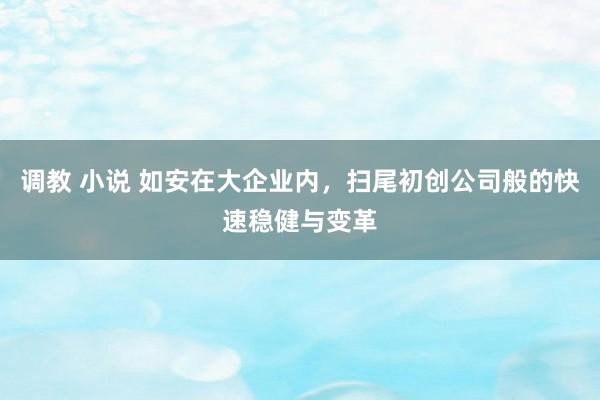 调教 小说 如安在大企业内，扫尾初创公司般的快速稳健与变革