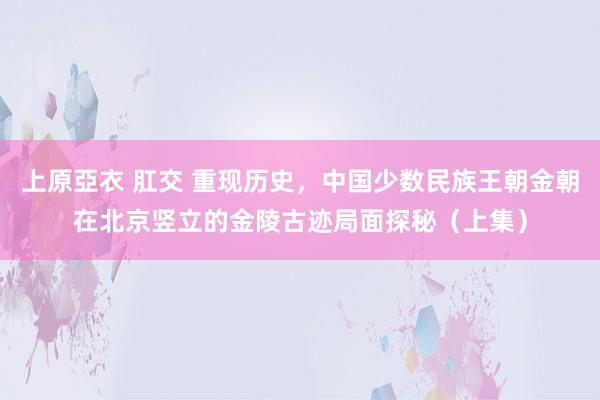 上原亞衣 肛交 重现历史，中国少数民族王朝金朝在北京竖立的金陵古迹局面探秘（上集）