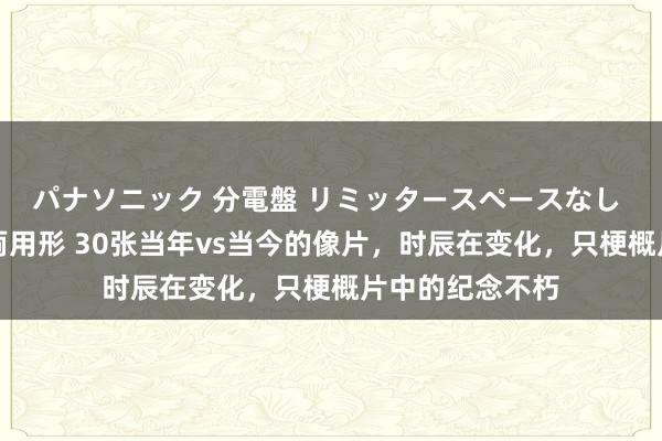 パナソニック 分電盤 リミッタースペースなし 露出・半埋込両用形 30张当年vs当今的像片，时辰在变化，只梗概片中的纪念不朽