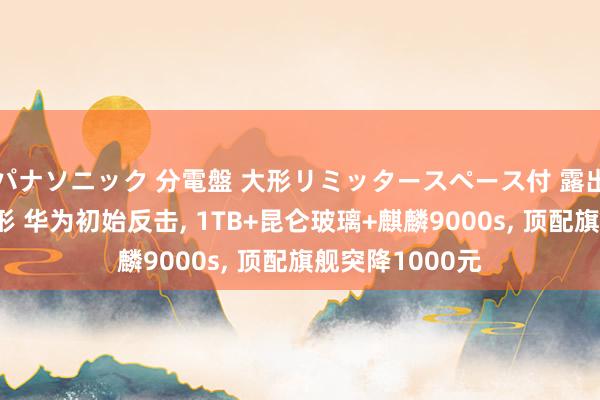 パナソニック 分電盤 大形リミッタースペース付 露出・半埋込両用形 华为初始反击， 1TB+昆仑玻璃+麒麟9000s， 顶配旗舰突降1000元