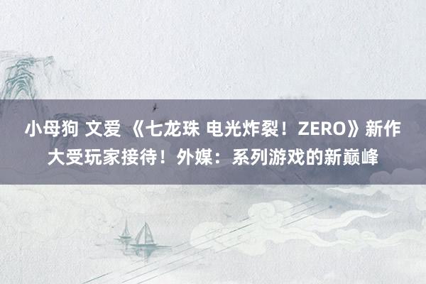 小母狗 文爱 《七龙珠 电光炸裂！ZERO》新作大受玩家接待！外媒：系列游戏的新巅峰