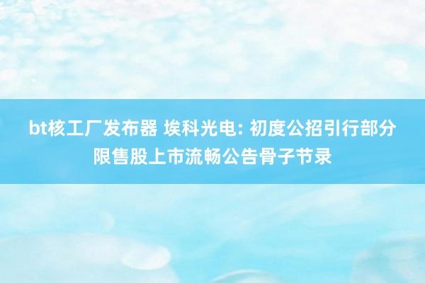 bt核工厂发布器 埃科光电: 初度公招引行部分限售股上市流畅公告骨子节录