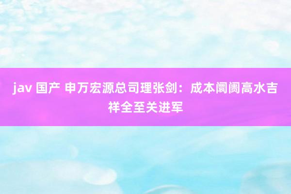 jav 国产 申万宏源总司理张剑：成本阛阓高水吉祥全至关进军