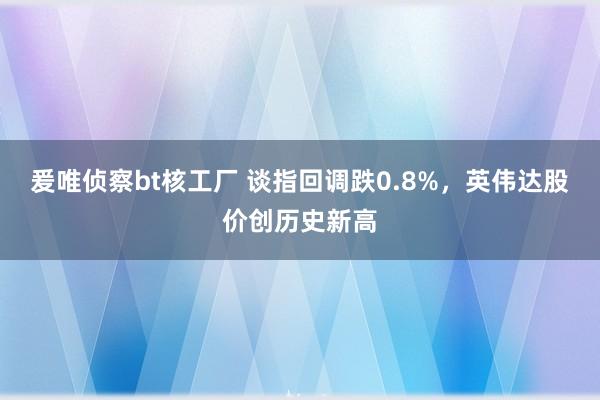 爰唯侦察bt核工厂 谈指回调跌0.8%，英伟达股价创历史新高