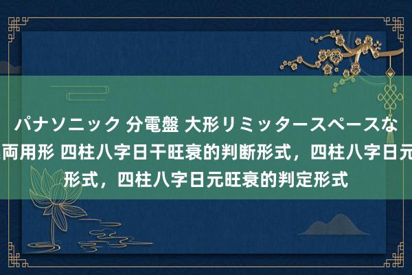 パナソニック 分電盤 大形リミッタースペースなし 露出・半埋込両用形 四柱八字日干旺衰的判断形式，四柱八字日元旺衰的判定形式