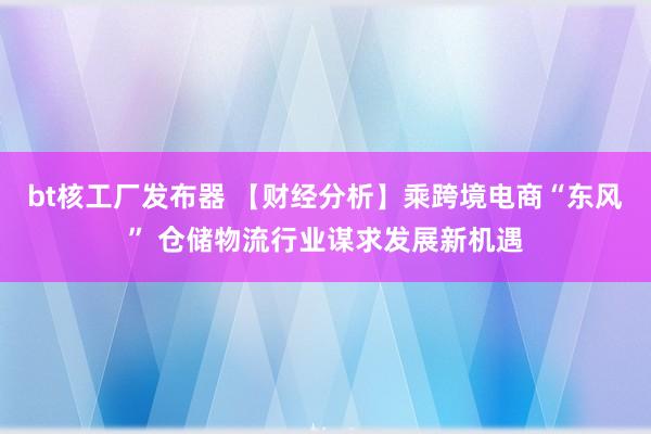 bt核工厂发布器 【财经分析】乘跨境电商“东风” 仓储物流行业谋求发展新机遇