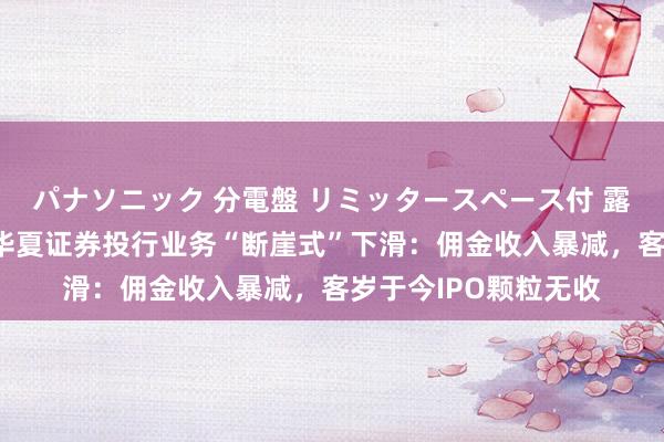 パナソニック 分電盤 リミッタースペース付 露出・半埋込両用形 华夏证券投行业务“断崖式”下滑：佣金收入暴减，客岁于今IPO颗粒无收