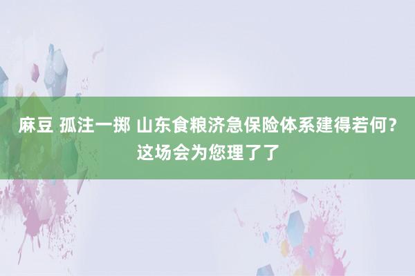 麻豆 孤注一掷 山东食粮济急保险体系建得若何？这场会为您理了了