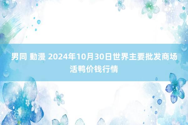 男同 動漫 2024年10月30日世界主要批发商场活鸭价钱行情