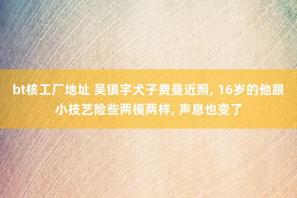 bt核工厂地址 吴镇宇犬子费曼近照， 16岁的他跟小技艺险些两模两样， 声息也变了