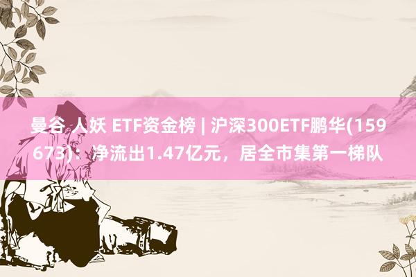 曼谷 人妖 ETF资金榜 | 沪深300ETF鹏华(159673)：净流出1.47亿元，居全市集第一梯队