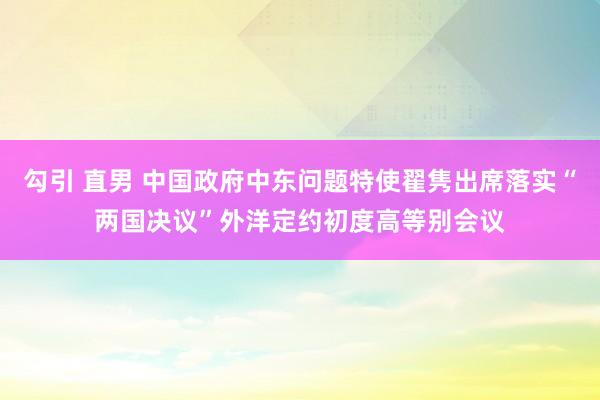 勾引 直男 中国政府中东问题特使翟隽出席落实“两国决议”外洋定约初度高等别会议