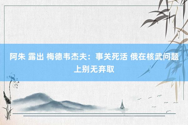 阿朱 露出 梅德韦杰夫：事关死活 俄在核武问题上别无弃取