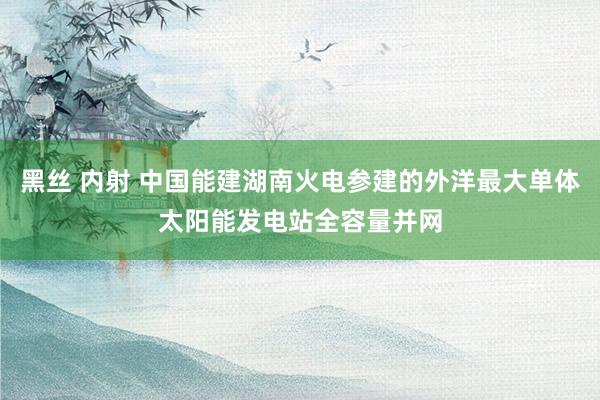 黑丝 内射 中国能建湖南火电参建的外洋最大单体太阳能发电站全容量并网