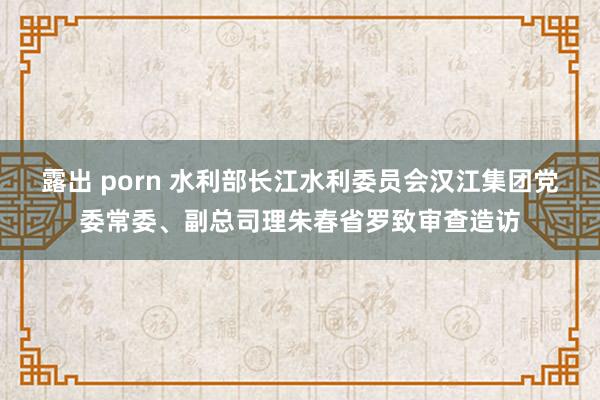 露出 porn 水利部长江水利委员会汉江集团党委常委、副总司理朱春省罗致审查造访