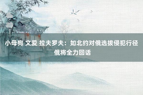 小母狗 文爱 拉夫罗夫：如北约对俄选拔侵犯行径 俄将全力回话