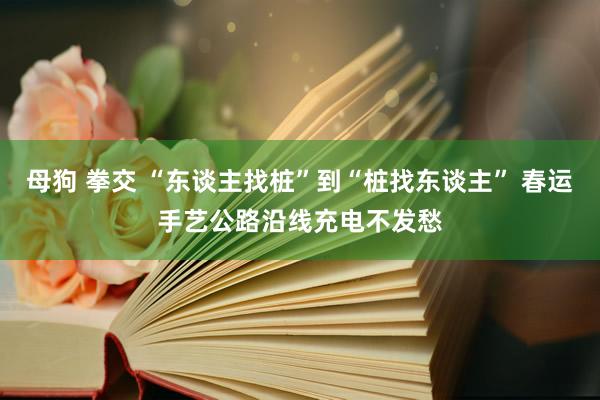 母狗 拳交 “东谈主找桩”到“桩找东谈主” 春运手艺公路沿线充电不发愁