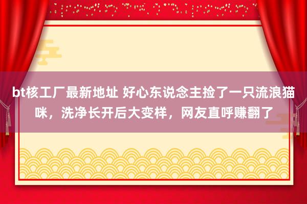 bt核工厂最新地址 好心东说念主捡了一只流浪猫咪，洗净长开后大变样，网友直呼赚翻了